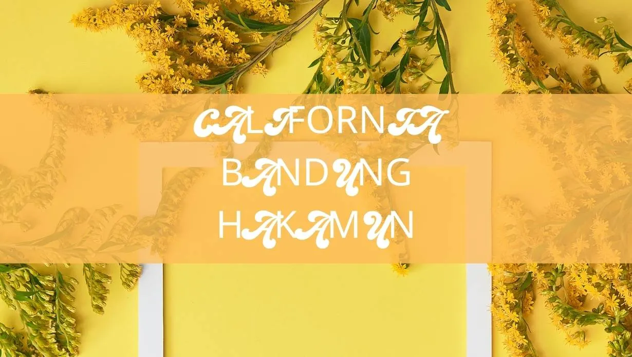 Seventies Font