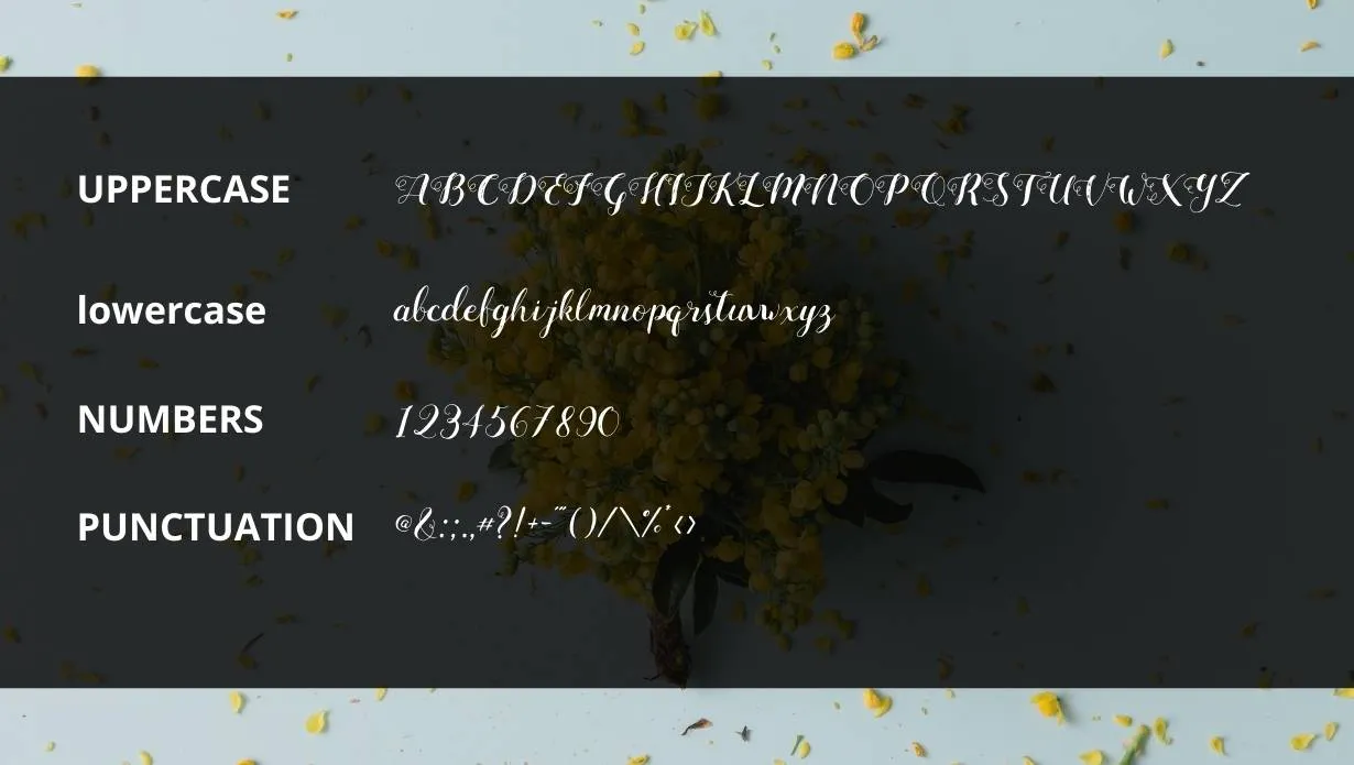 mightype font 