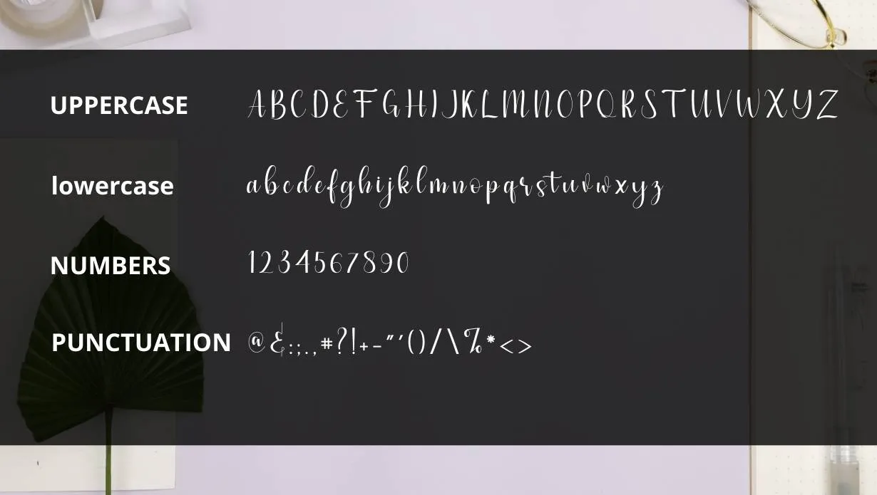 View Simple Script Font